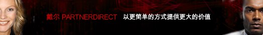 PartnerDirect 概述