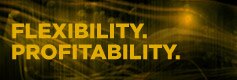 Flexibility Profitability