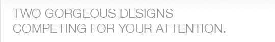 Two Gorgeous Designs Competing for Your Attention