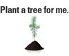 Plant a tree for me