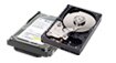 Hard Drive
