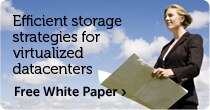 Efficient storage strategies for virtualized datacenters