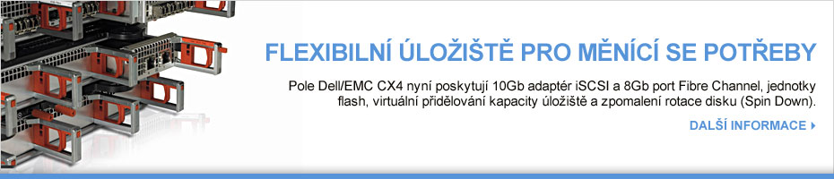 Dell / EMC CX4