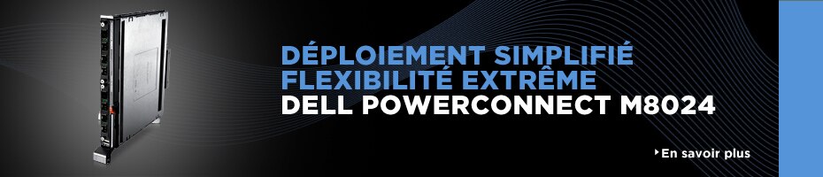 Dell PowerConnect M8024