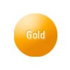 Gold Enterprise Support