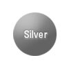 Silver Enterprise Support