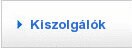 Kiszolgálók