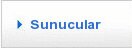 Sunucular