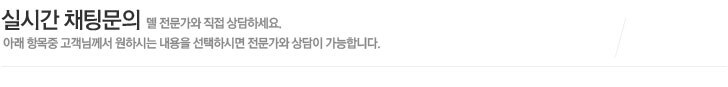 델 문의 하기