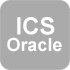 構築支援サービス（ICS)