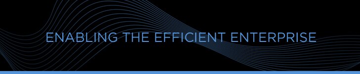 ENABLING THE EFFICIENT ENTERPRISE