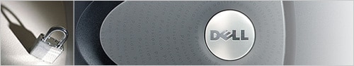 Dell Security Options