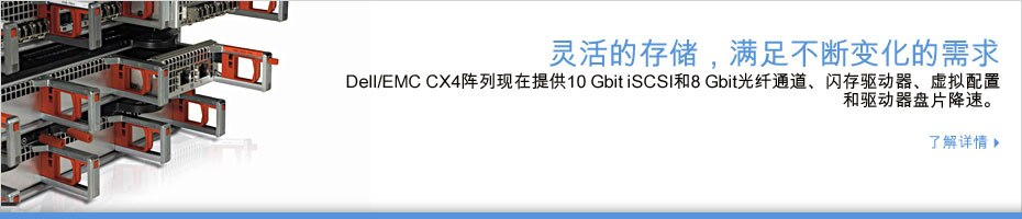 Dell/EMC NX4