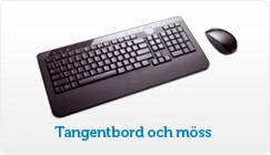 Tangentbord och möss