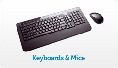 Keyboards and mice
