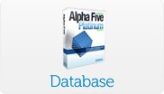 Database