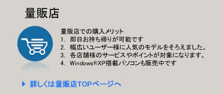 量販店/デルリアルサイト