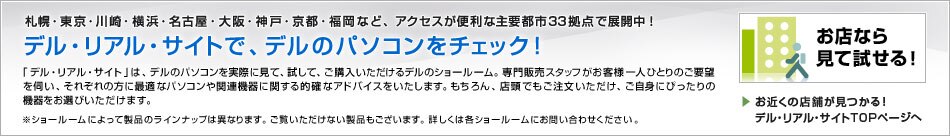 デル　量販店　25周年記念パッケージ