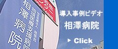 http://www.dnamedia.co.jp/intel/AizawaHSP_m.wmv