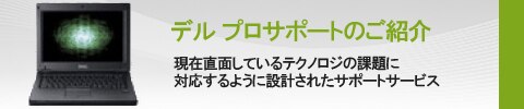 デル プロサポート