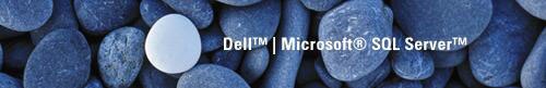 Microsoft® SQL® Server™ 2005