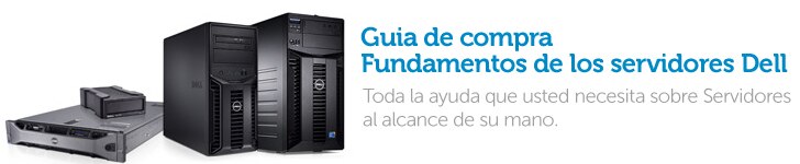 Guia de compra Fundamentos de los servidores Dell
