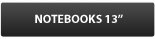 Notebooks 13