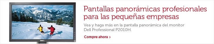 Monitor P2010H