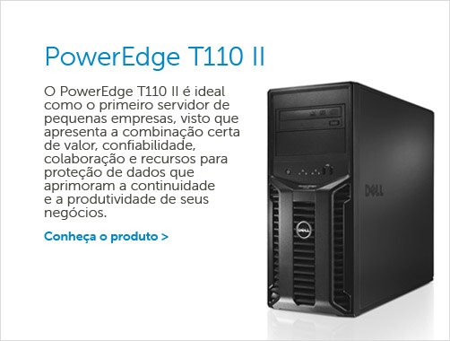 Power Edge T110