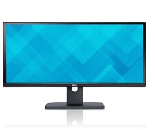 Dell UltraSharp U2913WM 29-inch Monitor with LED