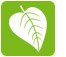 Leaf Icon