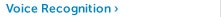 Voice Recognition