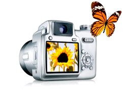 Digital Camera