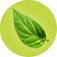 Save up to 55% off downloadable Software|GO GREEN! SAVE GREEN!
