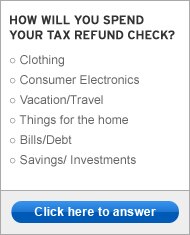How will you spend your tax refund check?