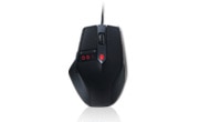 Mice