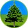 The read green initiative. Save trees while you read.