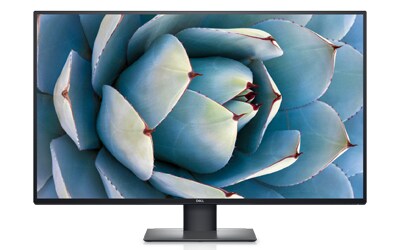 40 Inch & Above Monitors