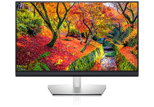  Dell Monitor 4K de 32 pulgadas, UHD (3840 x 2160
