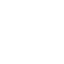 Snapshot Icon