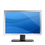Dell 19" SE198W Widescreen LCD Monitor