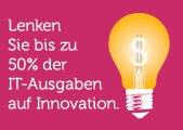 IT-Ausgaben