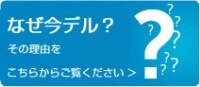 Why Dell