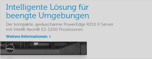 PowerEdge R210