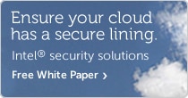 Security in the Cloud