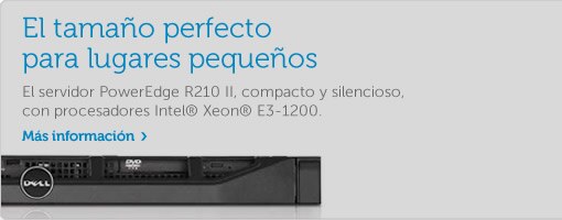 PowerEdge R210 II