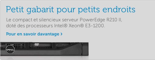 Poweredge R210