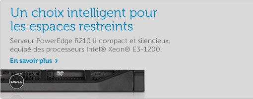 POwerEdge R210