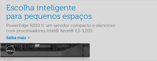 PowerEdge R210 II PowerEdge R210 II