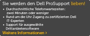 Sie werden den Dell ProSupport lieben! Sie werden den Dell ProSupport lieben!